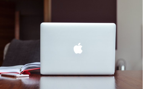 �ͷ�ϵ�y���}���Y