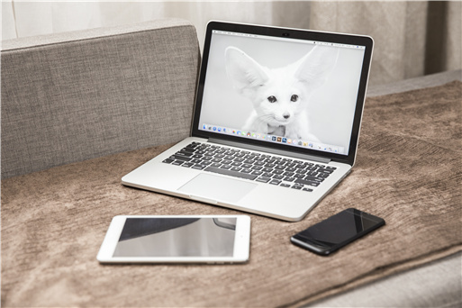 �Ԅӻ؏͹���