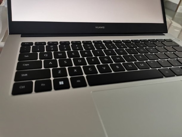 �N�����̹���